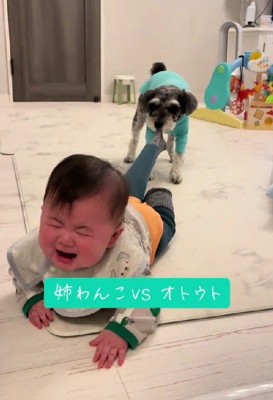 「そっちに行っちゃダメだよ!!」