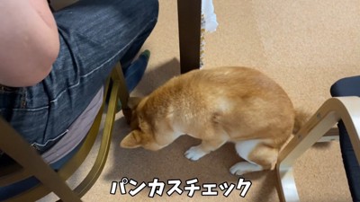 「カスが落ちてないかな？」とチェック