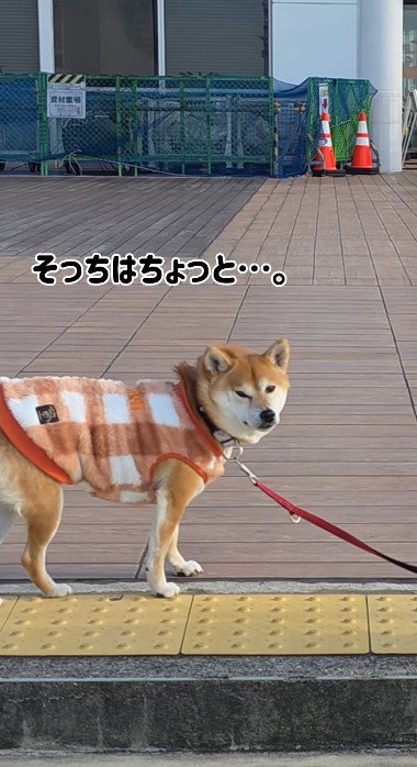 「そっちはちょっと…」