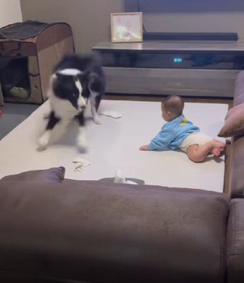 「もう！今のなに！」