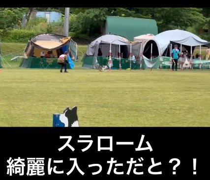 スラロームに入るみかづきちゃん