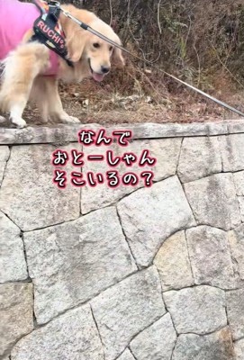 お父さんのところに行きたいのに…