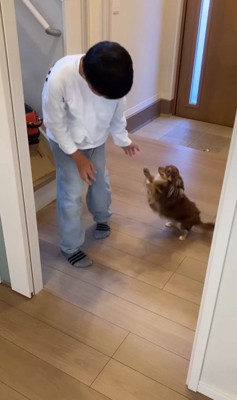 アムくんとお兄ちゃんの再会9