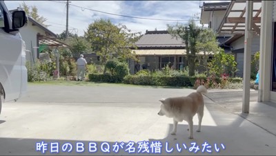 家に向かう男性を見つめる犬