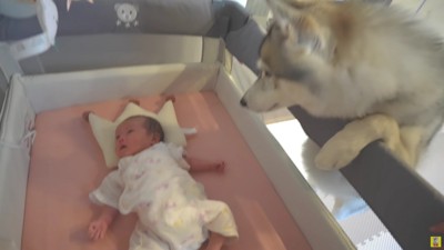 心配そうに見守る姿に涙…