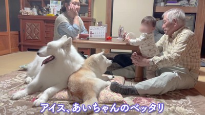 幸せな家族のワンシーンでした