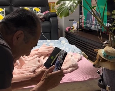 犬にスマホを向ける人1