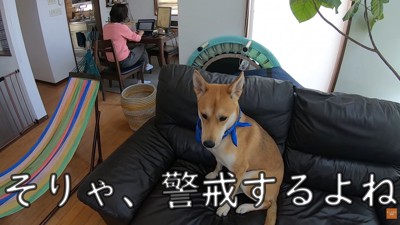 怖がって逃げてしまいました