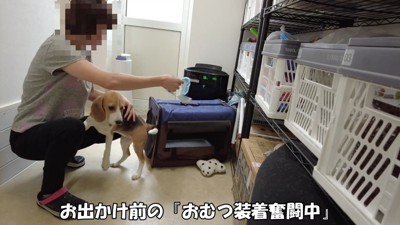 オムツをはかせようとしたら…