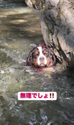 首元まで水に浸かる歳三くん