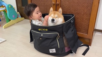 尊い光景にホッコリ♡