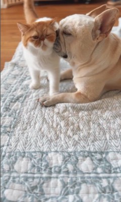 JOYくんとTOMくん5