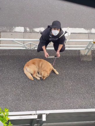 また2人が会いに来てた♪