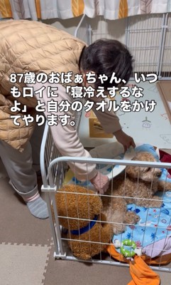 タオルをかけてあげるおばあちゃん