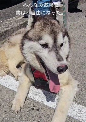 自由になれた
