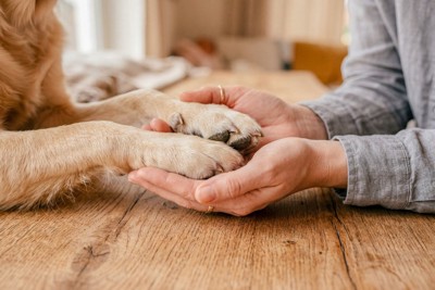 手を取り合う、人と犬