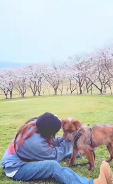 里親さんが決定!