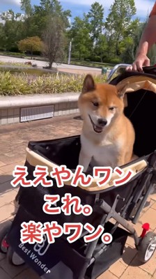 ご満悦の表情♪