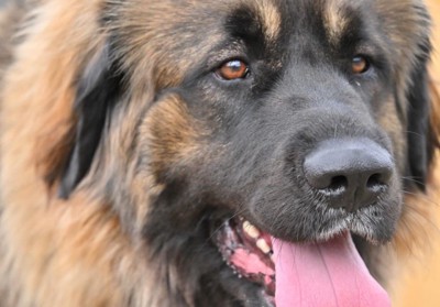 とってもかっこいい！！