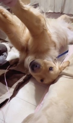 ズリズリー