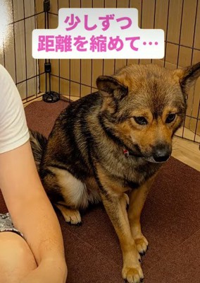 少しずつ距離を縮めて…