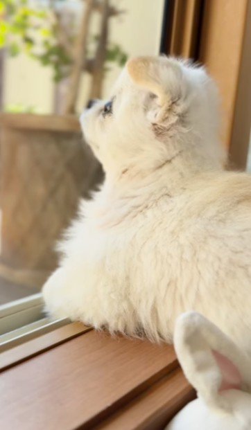 きっと見守ってくれてるね