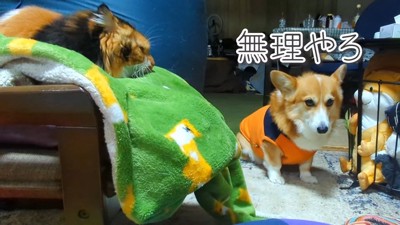 怖くて前を通れません!