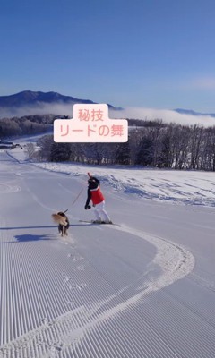 ゲレンデを爆走するリコくん2