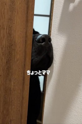 挟まっても諦めない心