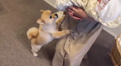 赤ちゃんとの初対面