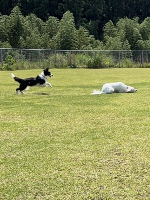 スライディング