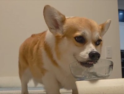 お鼻