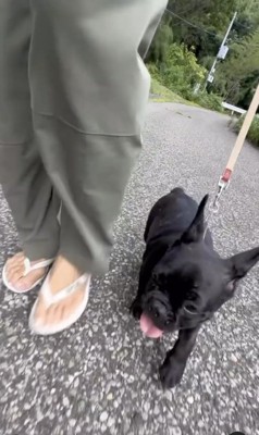 ちゃんと歩けてる