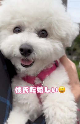 笑顔のもこちゃん