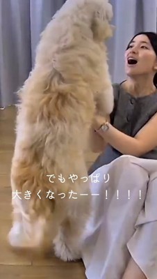 子犬を見て笑顔になる女性