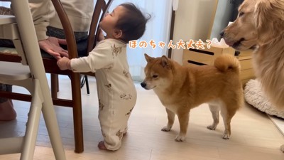 「本当に大丈夫??」