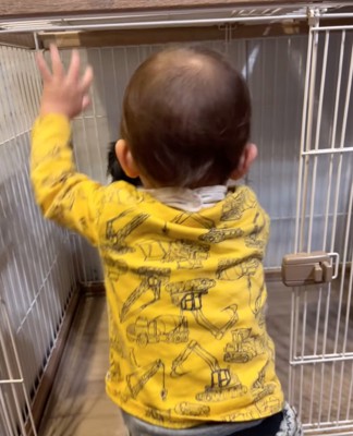 タッチを指示する男の子