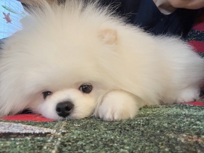 赤ちゃん