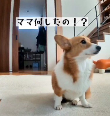 違う、きっとママだ