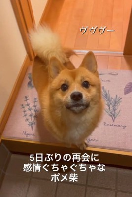 唸るもなかちゃん