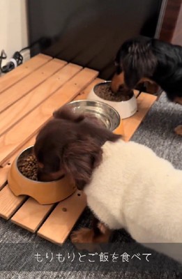 いつでも一緒♡