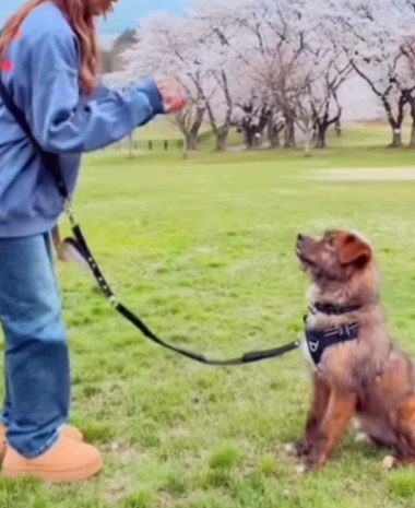 一緒に遊ぶ姿も見られた