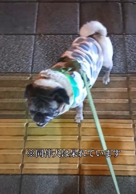 「まだ終わらないの?」