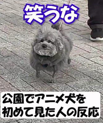 街中での反応は？