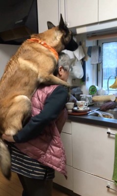 おんぶしてもらうウルルちゃん&シオンちゃん3