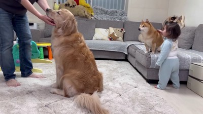 うにくんもなでなで