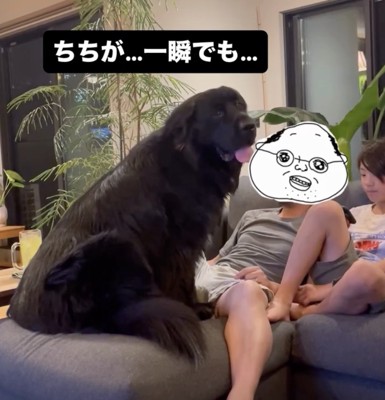 目の前にわっさんが。