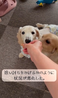 車椅子に挑戦する琥珀くん