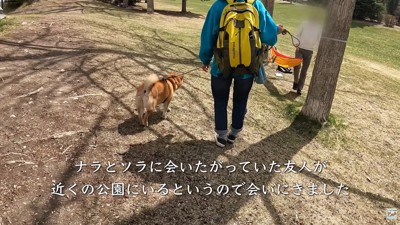 ご友人に会うために公園へ