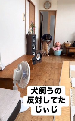 そなくんを受け止めるおじいちゃん